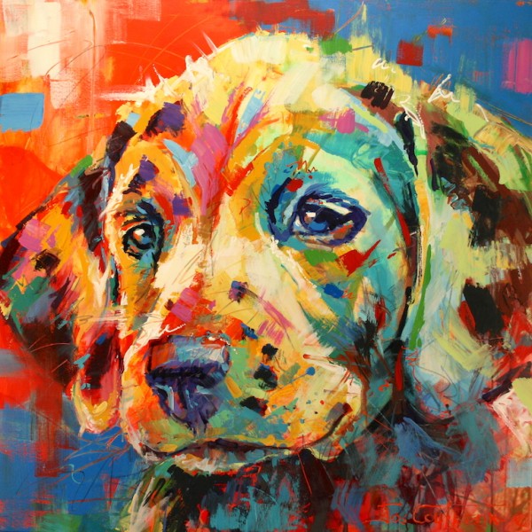 Dalmation Puppy